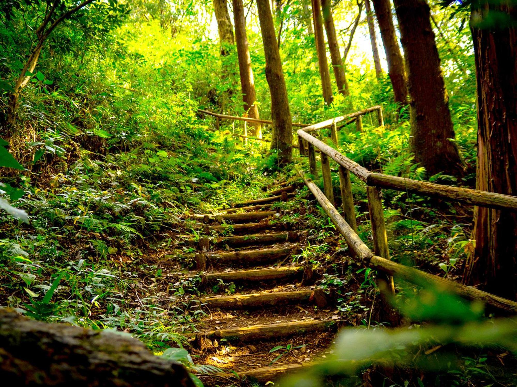 ホテル Kita-Kamakura 520 エクステリア 写真