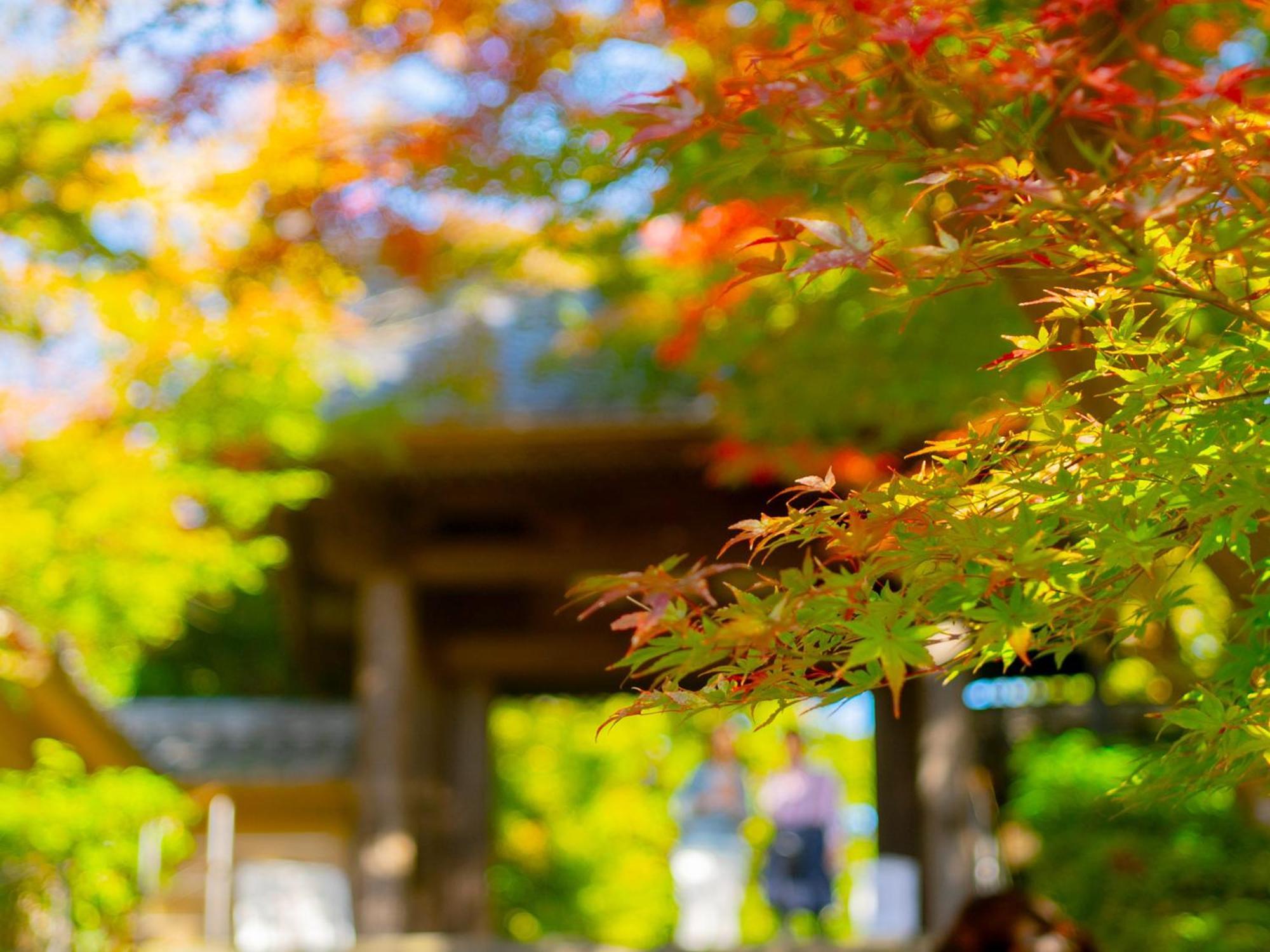 ホテル Kita-Kamakura 520 エクステリア 写真