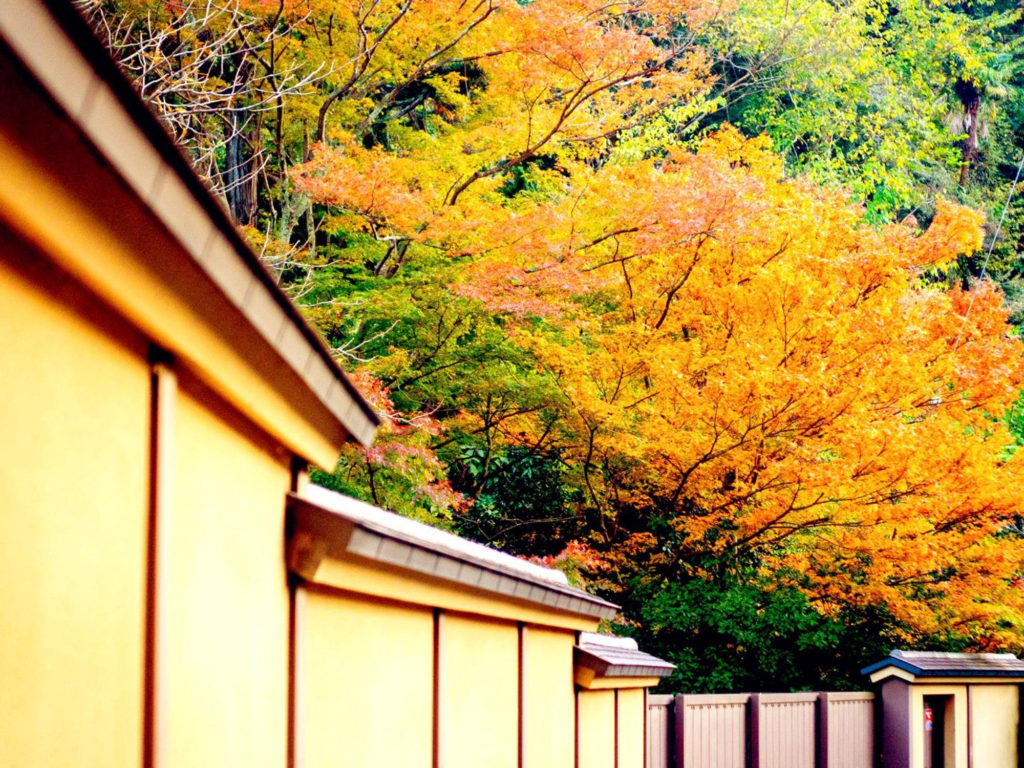 ホテル Kita-Kamakura 520 エクステリア 写真